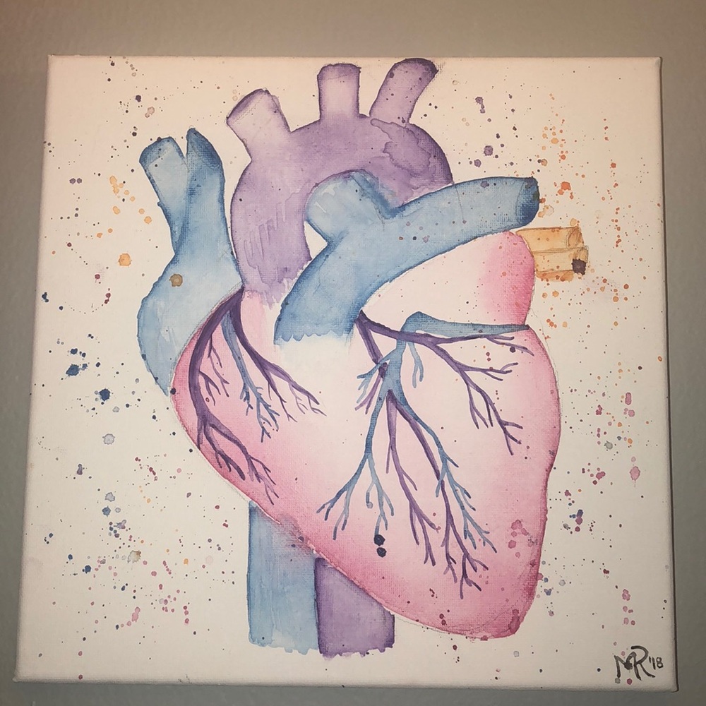Anatomical Heart Watercolor 10x10 inches